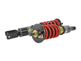 Skunk2 96-00 Honda Civic Pro-ST Coilovers (Front 10 kg/mm